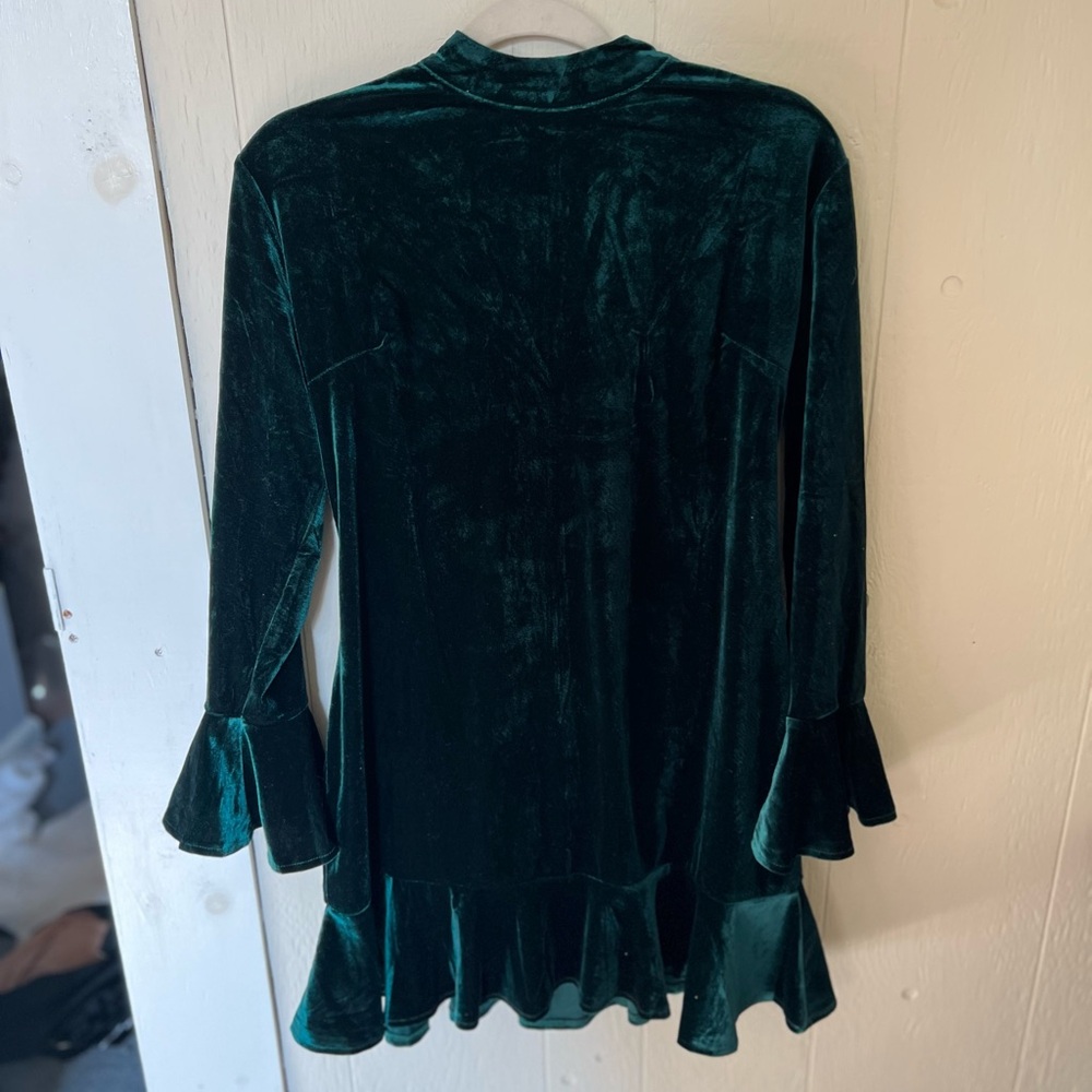 Velvet Flare Sleeve Dress